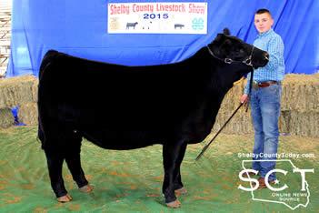 Ethan Wood, Joaquin FFA, had the Reserve Grand Champion Steer at the show which was the top selling at $13,000.