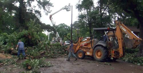 City of Center crews clearing the tree from the roadway