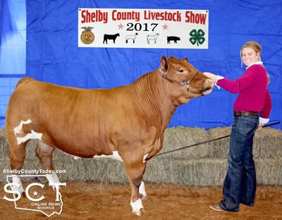 Grand Champion Steer shown by Megan Dunn, Center 4-H