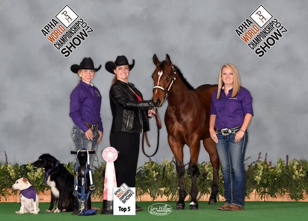 The Stephen F. Austin State University equine program successfully exhibited two weanling colts from the university’s breeding program at the 2017 American Paint Horse Association World Championship Show in Fort Worth. Make Me Move, a solid paint-bred colt, was named Reserve Breeder’s Trust Futurity Champion and placed sixth in the solid paint-bred Weanling Stallions Class, while Remember the Name, also a solid paint-bred colt, placed fifth in the same class. Pictured from left are SFA student Kelsey Chatigny, Michaelle Coker, SFA equine center supervisor, Remember the Name, and SFA student Sarah Bone