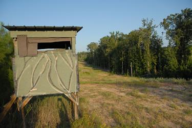 Pipeline and power line right-of-ways are good places to situate deer stands and food plots. (Photo by Matt Williams)