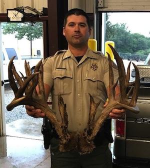 Oklahoma game warden Wade Farrar with the massive 28-point rack from a road kill buck hit by a vehicle in an upscale subdivision in Edmond, just north of Oklahoma City. (Photo courtesy of George Moore)