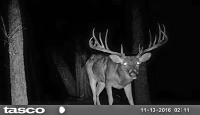 John Walker Drinnon of Whiteboro was named in a recent TPWD report identifying him a one of three men involved in separate deer poaching cases filed in Grayson County by Texas game wardens. The report says Drinnon confessed to killing this big 19 pointer illegally in Dec. 2016. The buck scores 202 B&C and commands civil restitution fees totaling more than $18,000. (TPWD Photos)