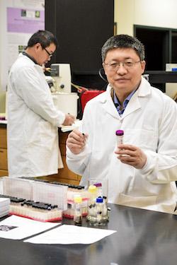 A team of researchers, including Dr. Shiyou Li, pictured, research professor and director of the National Center for Pharmaceutical Crops at Stephen F. Austin State University, recently received a U.S. patent for Salvinol, a compound derived from the invasive giant salvinia plant. Lab trials conducted at the NCPC show Salvinol can slow and, in some cases, completely inhibit the growth of a wide range of cancer cells, including pancreatic and lung cancer cells.