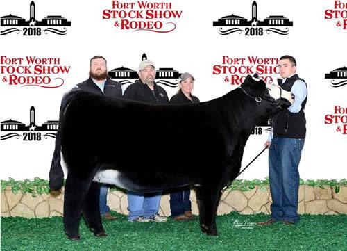 Ethan Zane Wood, a FFA member from Joaquin, Texas, captured Junior Heifer Champion with Hagan Daphine in the Junior Simmental Beef Heifer Show at the 2018 Fort Worth Stock Show & Rodeo on January 21.