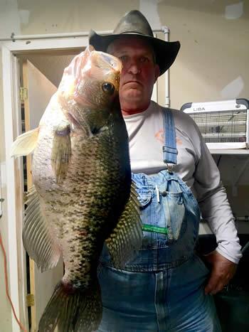 Mega Slab: Caught on a Jig, Lake Fork Angler Reels in Pending Record 3.55  White Crappie