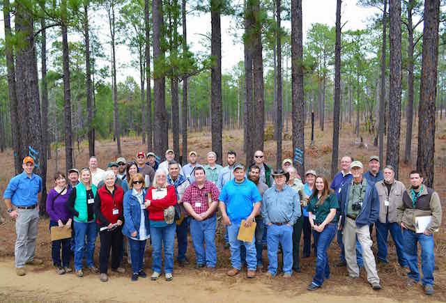 East Texas participants in the Longleaf Academy 101 on a site visit to Scrappin’ Valley to one of the largest remaining stands of longleaf pine in East Texas. The two and a half day workshop was sponsored by the Texas Longleaf Implementation Team.