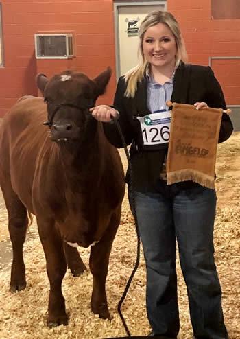 Abi Hooper won her class then placed reserve calf division